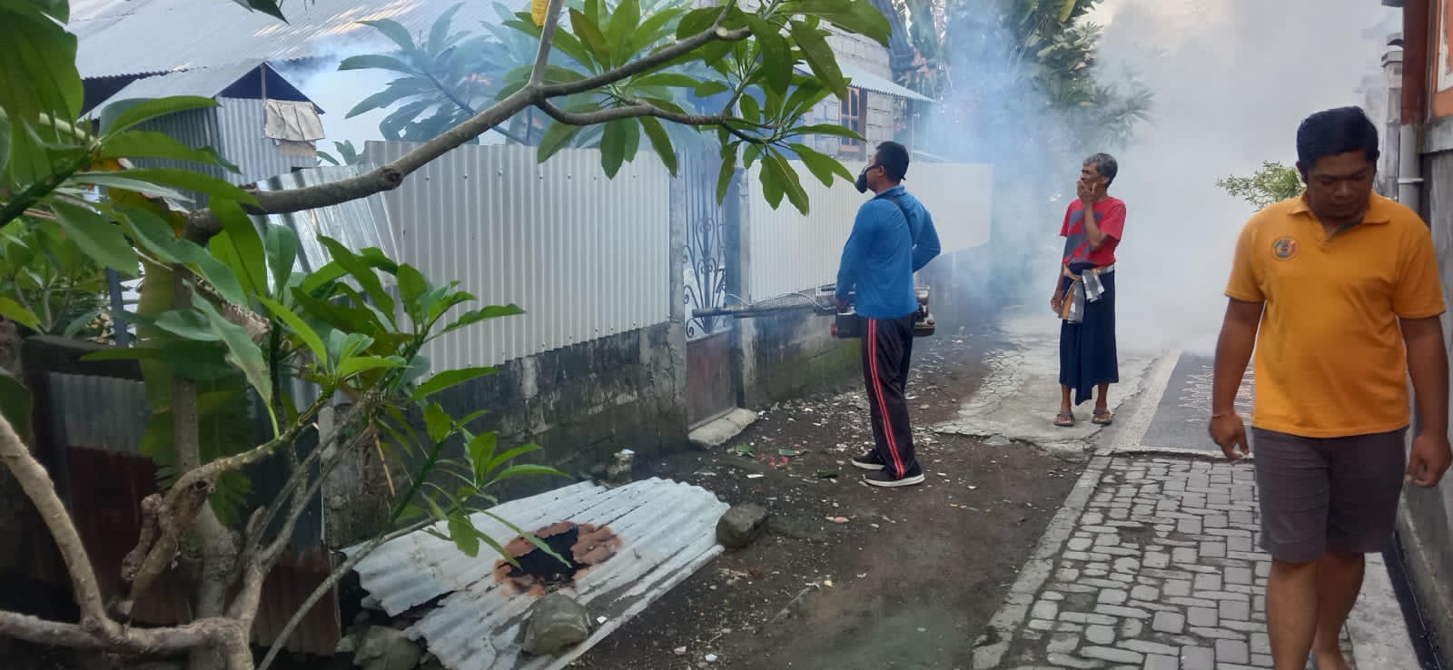 Antisipasi Penyebaran DBD Lurah Kesiman Laksanakan Fogging