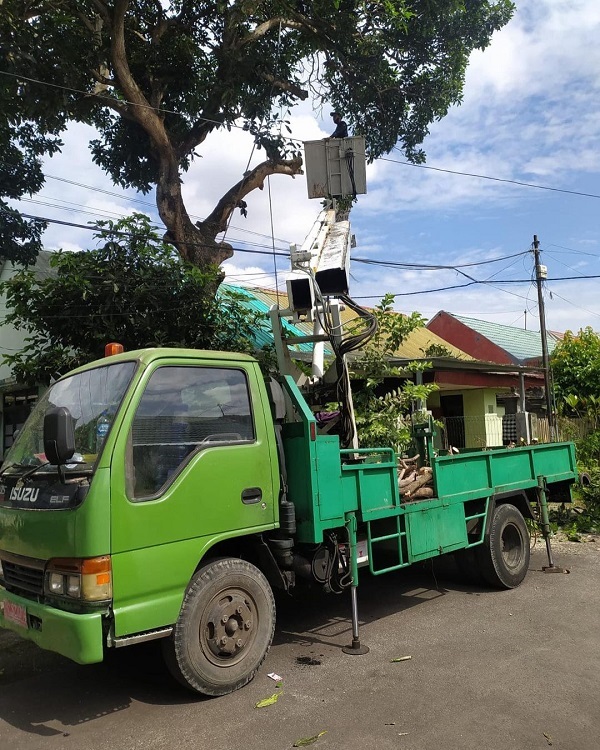 DLHK Denpasar Rutin Intensifkan Perompesan Antisipasi Pohon Tumbang